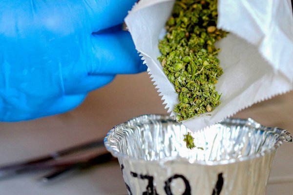 Сайт кракена актуальный