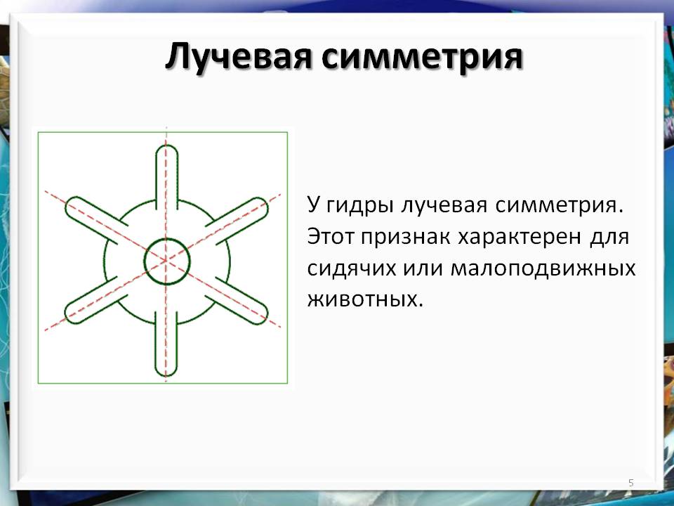 Кракен наркошоп ссылка