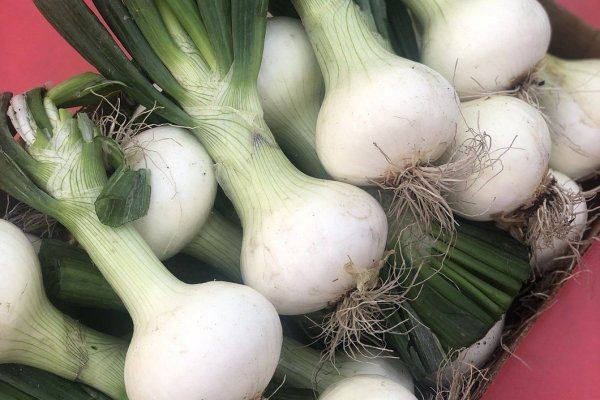 Кракен маркетплейс kr2web in